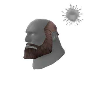 The Unshaved Bear
